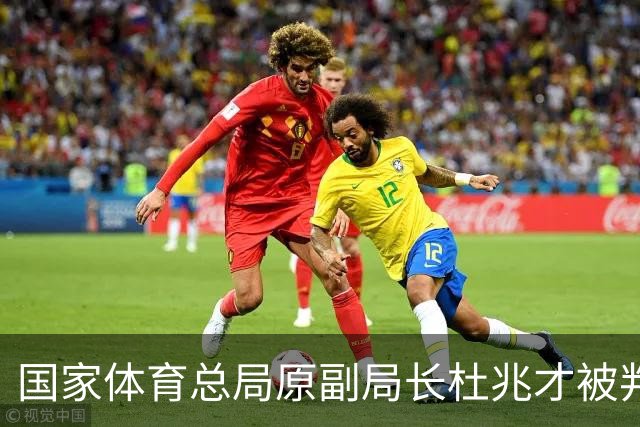 国家体育总局原副局长杜兆才被判处有期徒刑十四年