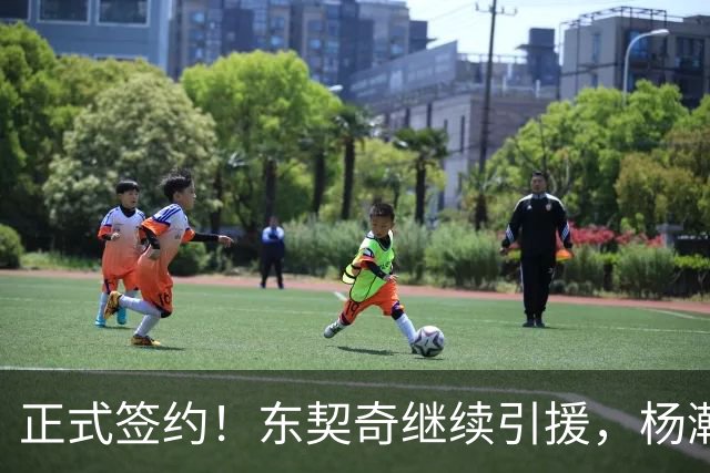 正式签约！东契奇继续引援，杨瀚森被挖墙脚！